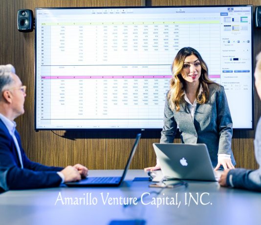 Venture Capital Company