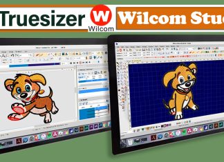 Truesizer: Overview of Wilcom Embroidery Studio