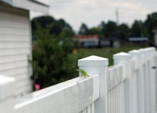 Why You Need to Hire a Professional Lake Wales Fencing Company?